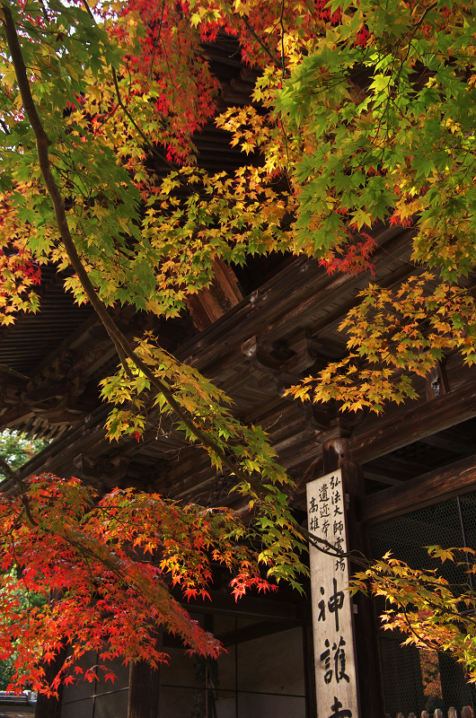 Opening！2012年京都の紅葉（神護寺・門前編）_f0155048_23271725.jpg