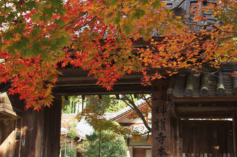 Opening！2012年京都の紅葉（神護寺・門前編）_f0155048_23273789.jpg