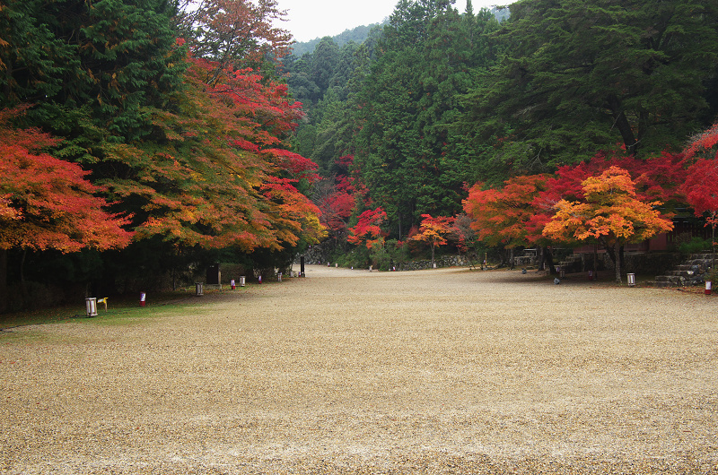 Opening！2012年京都の紅葉（神護寺・門前編）_f0155048_23294194.jpg