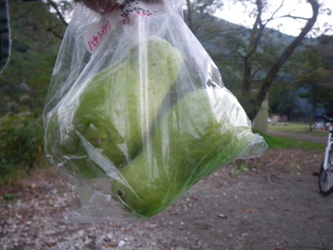 ワンデムタンデム１２秋〜１０３１水〜神奈川青根キャンプ場〜ｄａｙ４_f0046250_165442.jpg