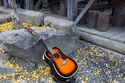 music together 冬学期 参加者募集中_d0065558_2113528.jpg