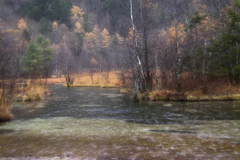 c0202860_2118810.jpg