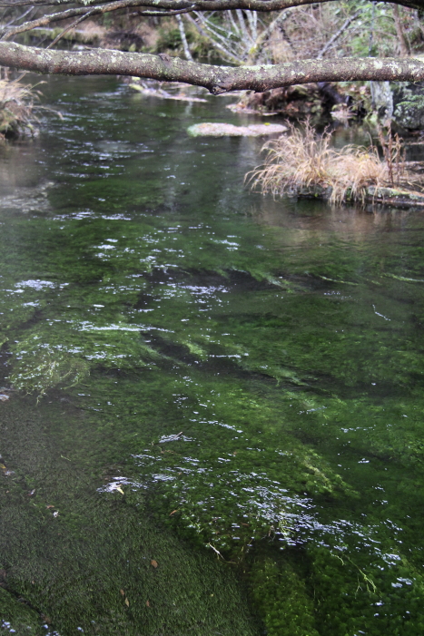 c0202860_21324695.jpg