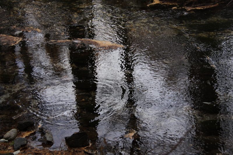 c0202860_21331568.jpg