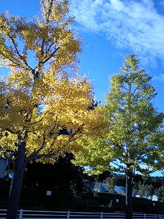 a0299362_2256479.jpg