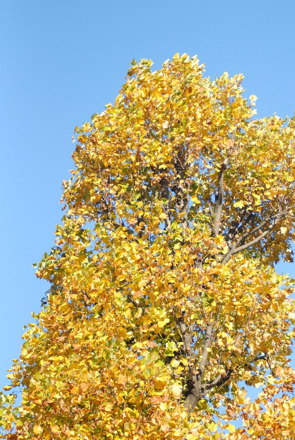 b0286966_2052185.jpg