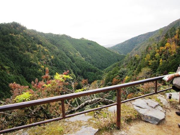 京都　高雄山_c0224470_20543350.jpg