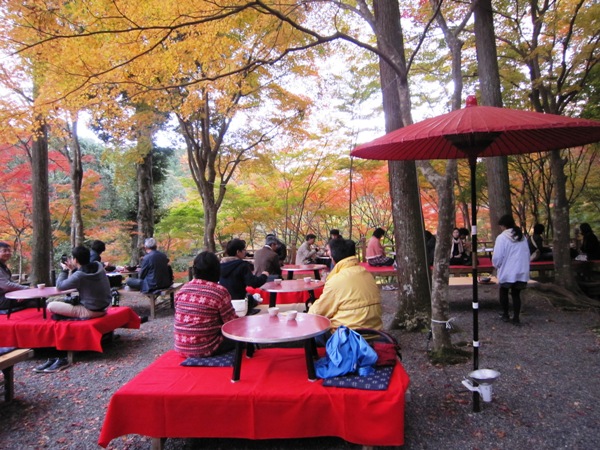 京都　高雄山_c0224470_215583.jpg