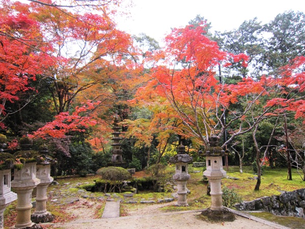 京都　高雄山_c0224470_2163099.jpg