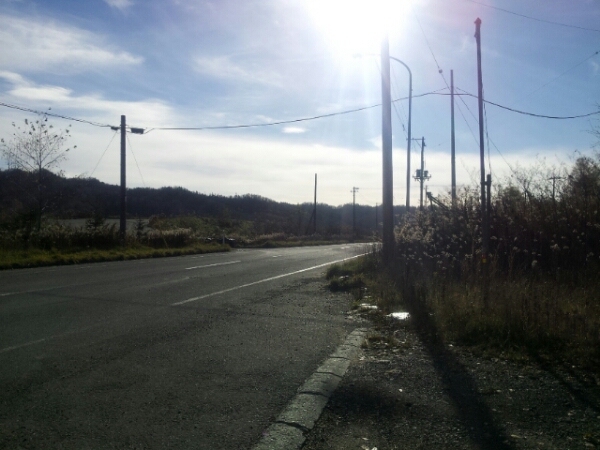 d0180174_1482135.jpg