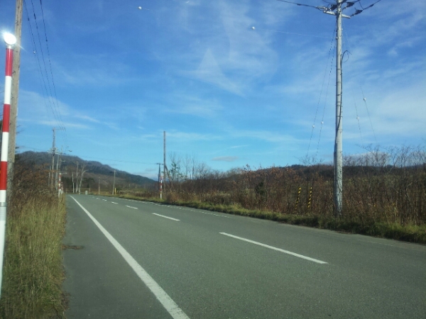 d0180174_148639.jpg