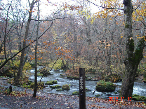 d0165378_93290.jpg