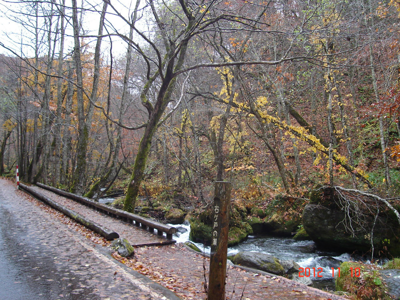 d0165378_93925.jpg