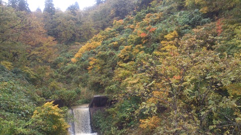 広域農道の紅葉がきれいになってきました。_d0182179_20103512.jpg