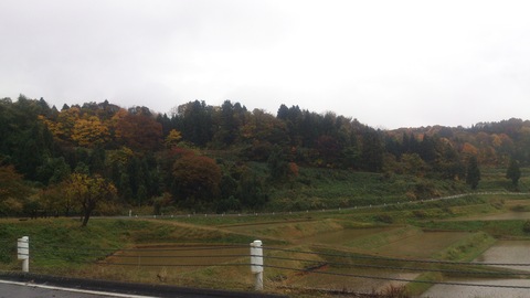 広域農道の紅葉がきれいになってきました。_d0182179_20153640.jpg
