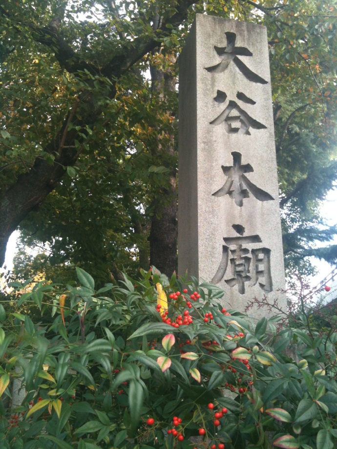a0221083_1052350.jpg