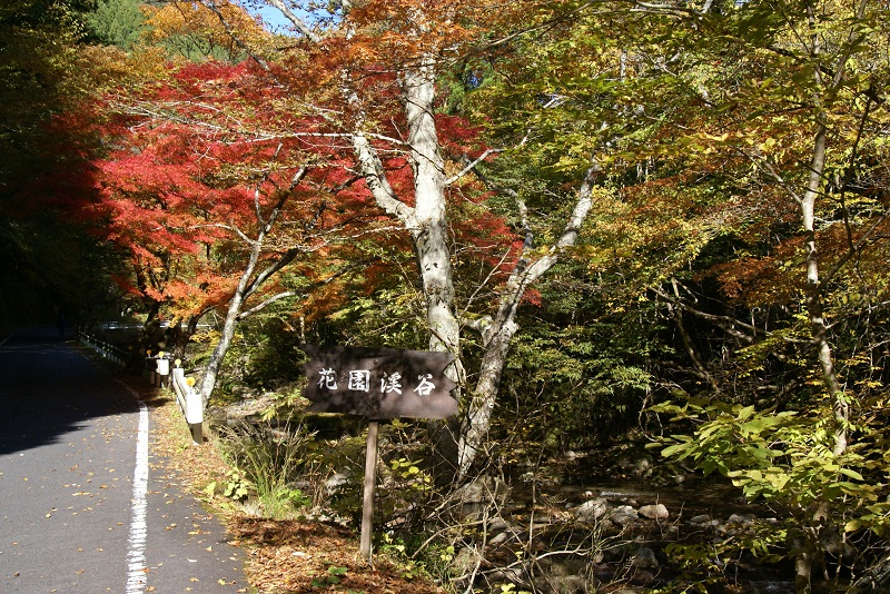 花園地区紅葉の便り…　北茨城市_b0183886_044487.jpg