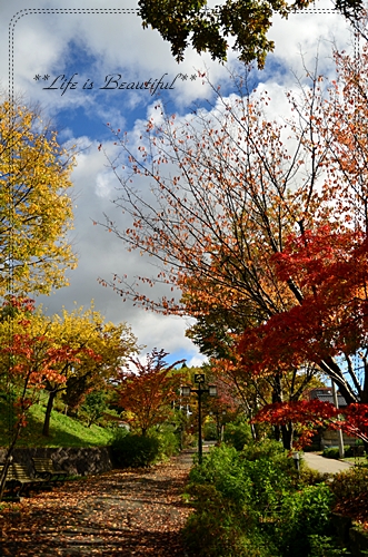 c0156789_17561785.jpg