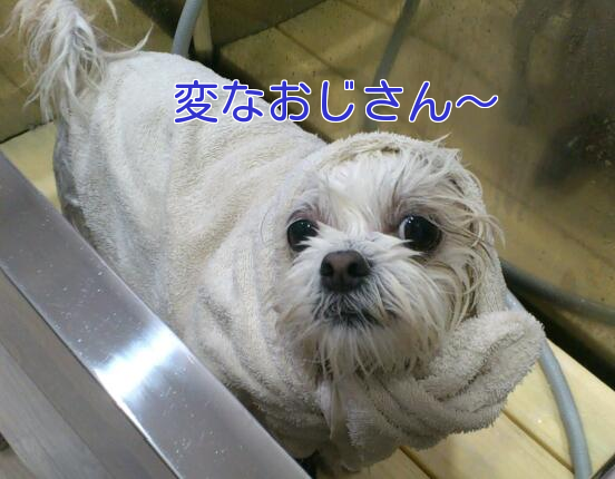 b0237894_1727365.png