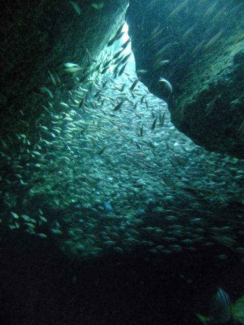 毎週でも来たくなる雲見【2012年11月10日】_f0053895_16185013.jpg