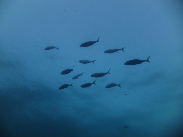 毎週でも来たくなる雲見【2012年11月10日】_f0053895_16185259.jpg