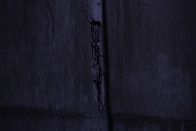 a0158797_065597.jpg