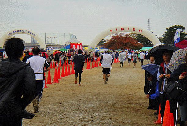 b0108100_2042313.gif