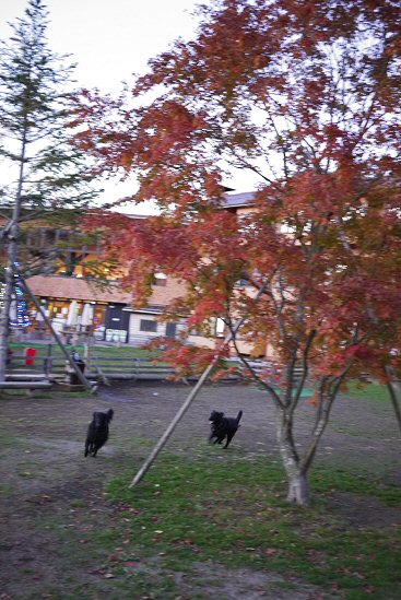 c0050400_0132041.jpg