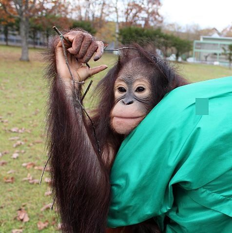 ひなちゃんの手_c0155902_23512920.jpg