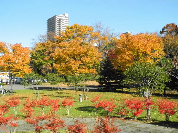 紅葉最終章　中島公園_d0026802_13374157.jpg