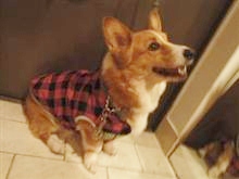 c0126703_1744487.jpg