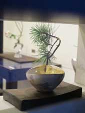 瀬沼健太郎展 火曜日まで_c0218903_86477.jpg