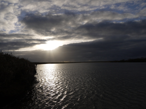 b0110205_13222718.jpg