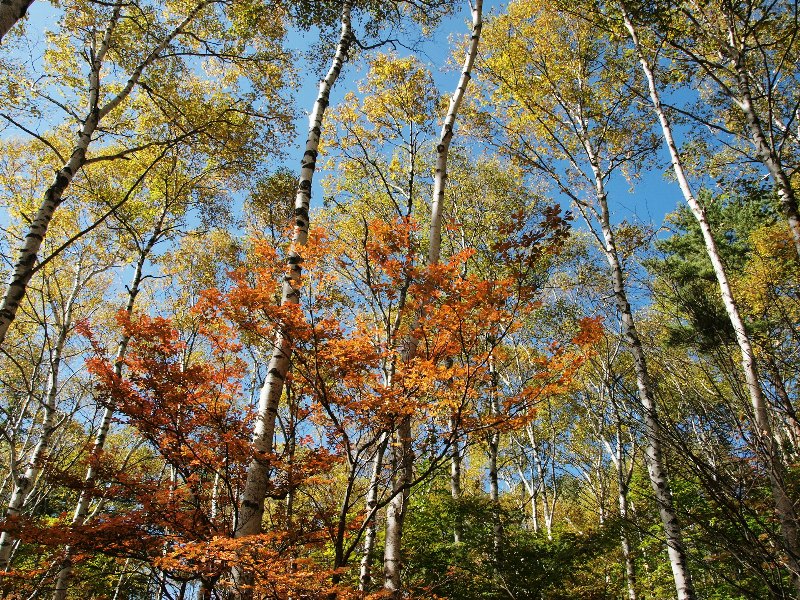 b0231705_20205.jpg