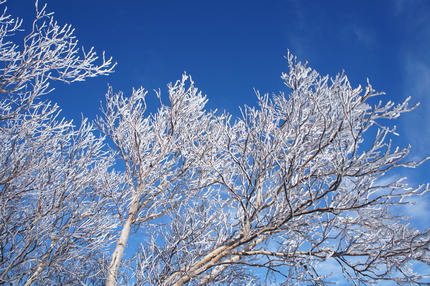 a0248508_21133976.jpg