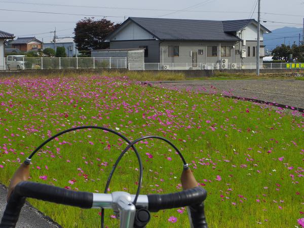 阿讃の峠と温泉と（２）境目峠・後編_d0108509_20281098.jpg