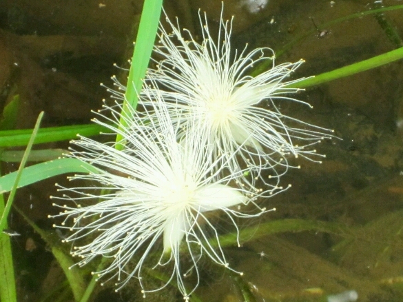 f0023210_9182627.jpg