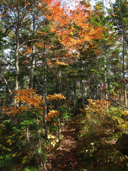 静かなる山旅　秋の徳本峠 （後）_b0244811_1756439.jpg