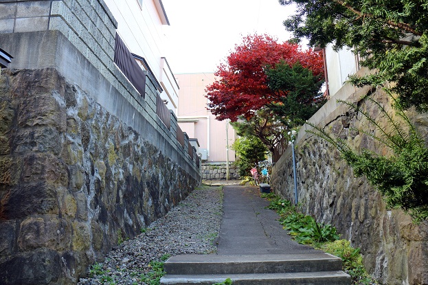 函館を巡る (3) ~ 漂泊の歌人・石川啄木を追って_a0151913_19573666.jpg