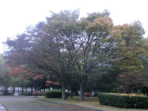 e0254813_23305855.jpg