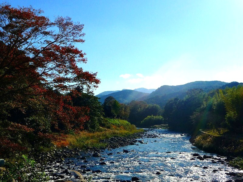 f0182513_0491473.jpg