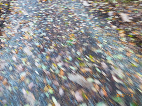 f0033314_17372621.jpg