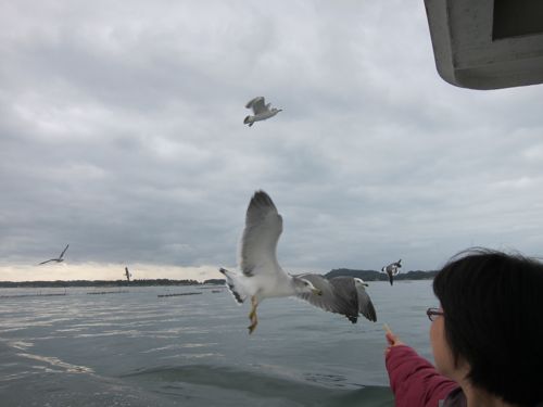 「名勝松島」を訪ねて（2012.11.11 SUN.）_b0226219_22352631.jpg