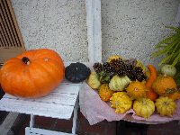 c0133422_04255.jpg
