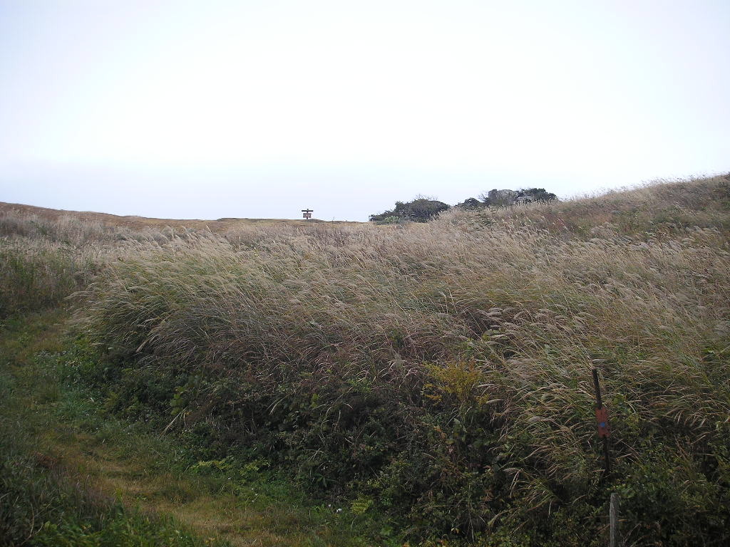 a0048823_19132165.jpg