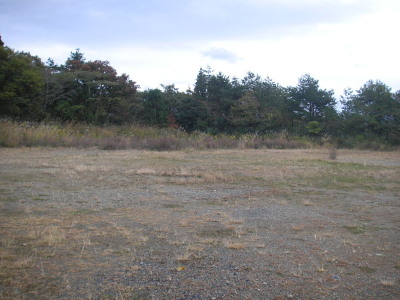 a0048823_1933352.jpg