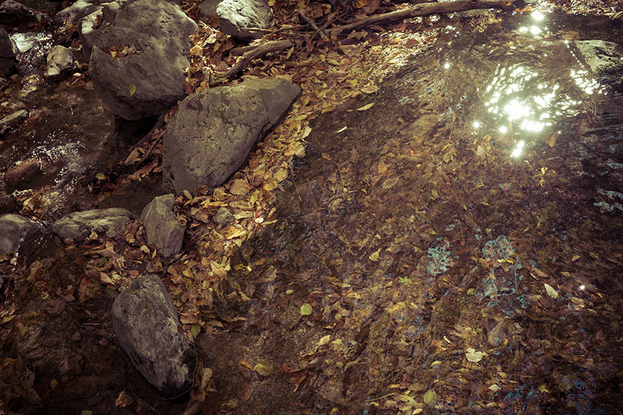 e0224824_20153886.jpg
