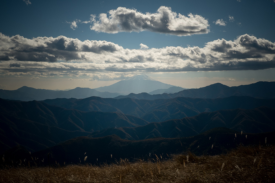 e0224824_2019209.jpg