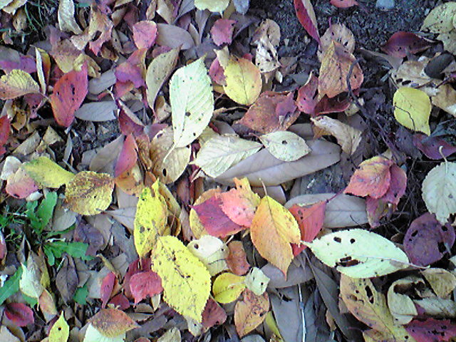 e0240925_23525589.jpg