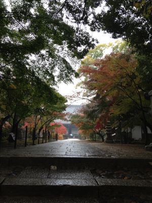 雨の光明寺_e0103327_1944285.jpg